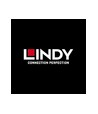 Lindy