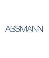 ASSMANN Electronic